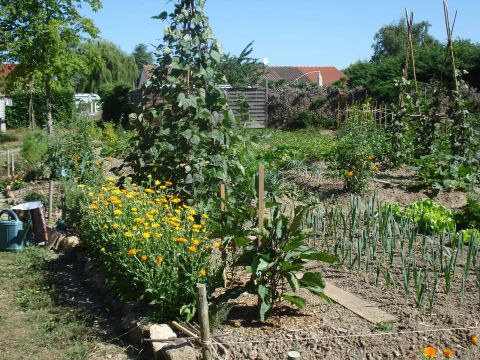 jardins